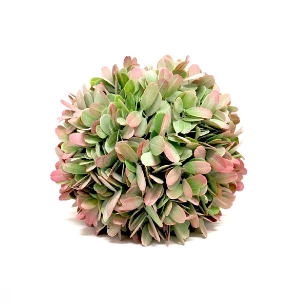 La Pinc Leaf Ball /24cm