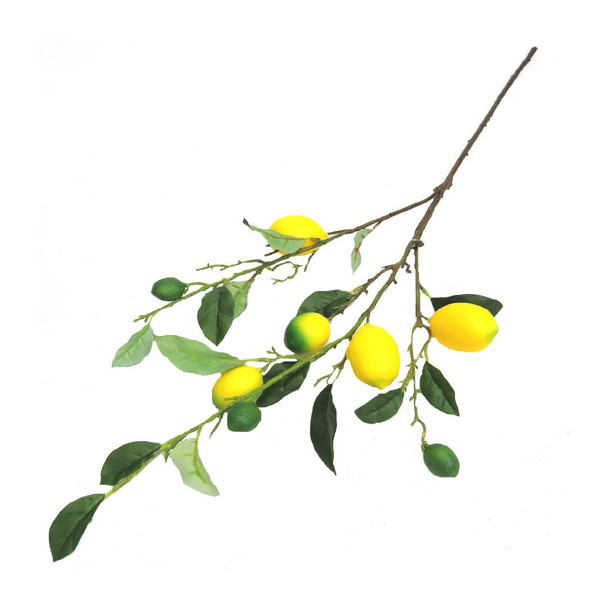 Lemon Branch (75cm)