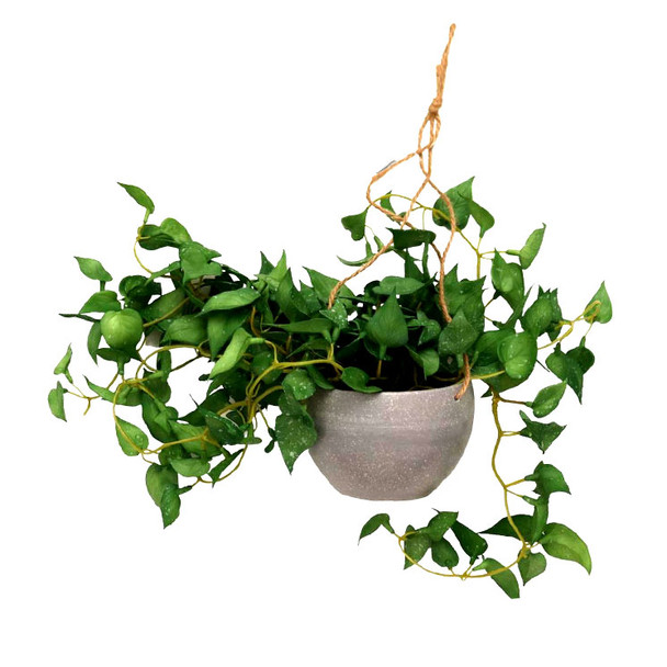 Artificial Hanging Plant - Velvet Leaf