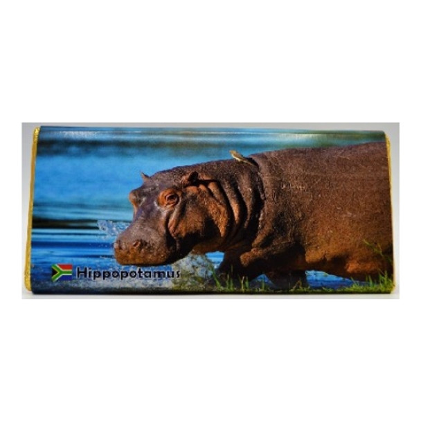 Chocolate Card Hippo 75g