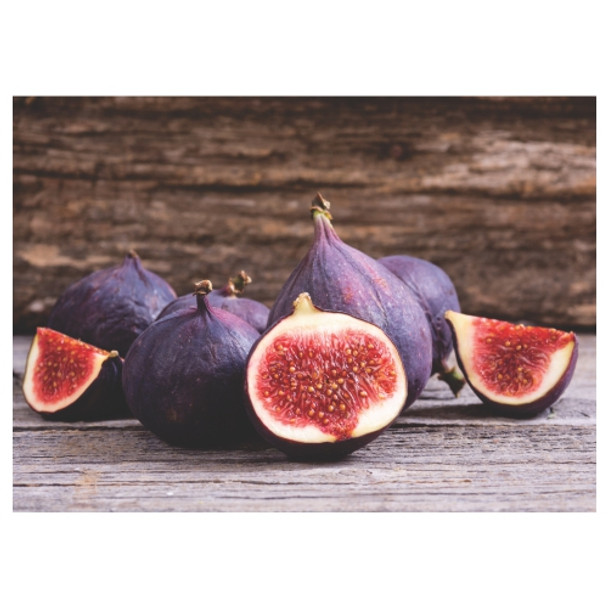 Disposable Placemat - Purple Fig