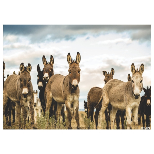 Gift Wrap Sheet - Donkey Herd
