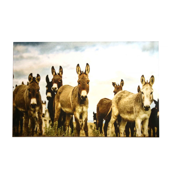 Chenille Rectangular Rug / Herd of Donkeys