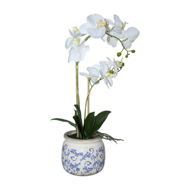 White Orchid in Blue/White Pot (55cm)