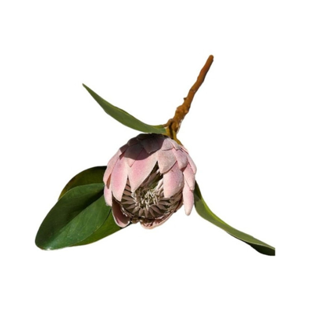 Artificial Flower - Pink Protea 50cm