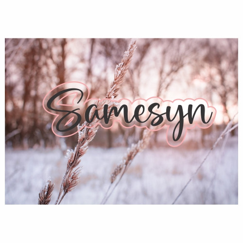 Disposable Placemat - Samesyn