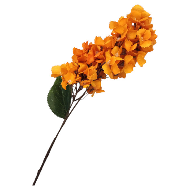 Orange Bigleaf Hydrangea 90cm