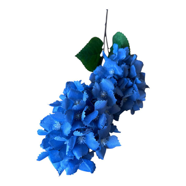 Blue Bigleaf Hydrangea 90cm