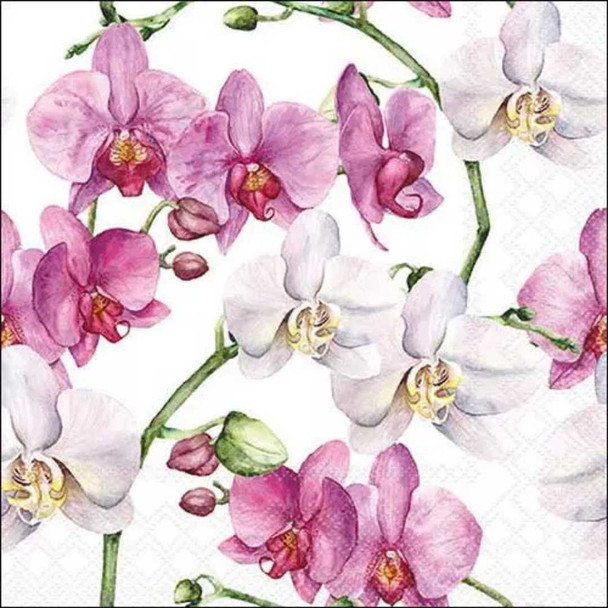 Serviette - Elegant Orchids on White (33x33cm)