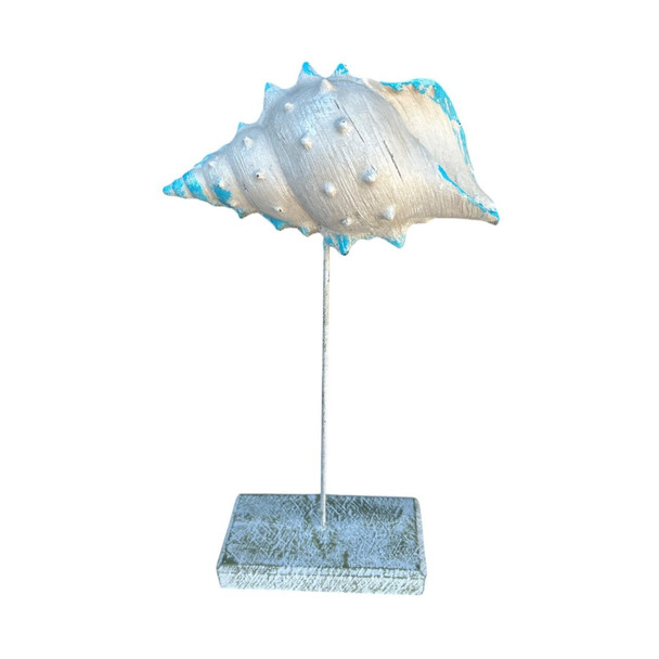 Blue Tip Beige Seasnail