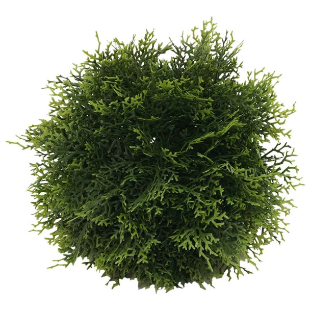 Green Cypress Ball / 20cm dia.