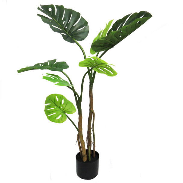 Delicious Monster 105cm