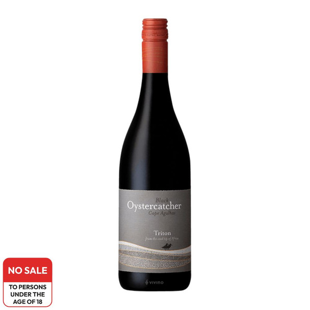 Black Oystercatcher Triton 2017