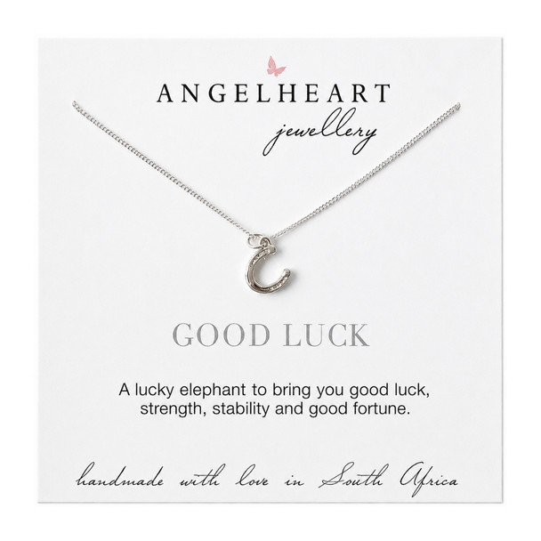 Horse Shoe Necklace on Silver Chain