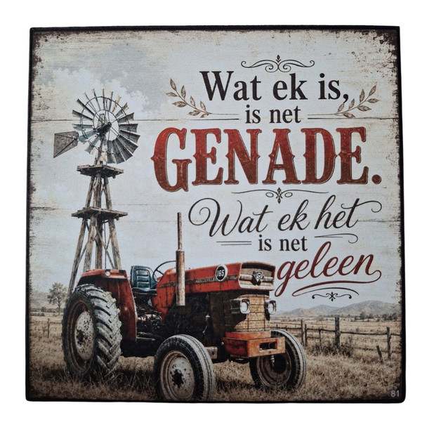 Wall Decor - Wat Ek Is Is Net Genade