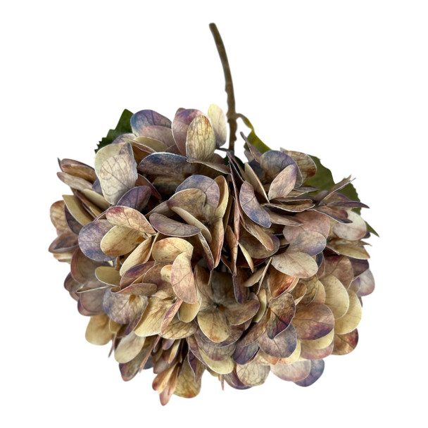 Vintage Brown Hydrangea Stem 55cm