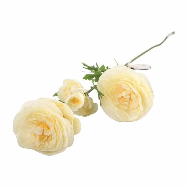 Everlasting White Roses