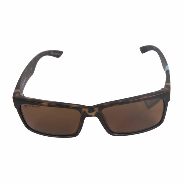 Sunglasses Brown Tortoise Shell Wayfarer