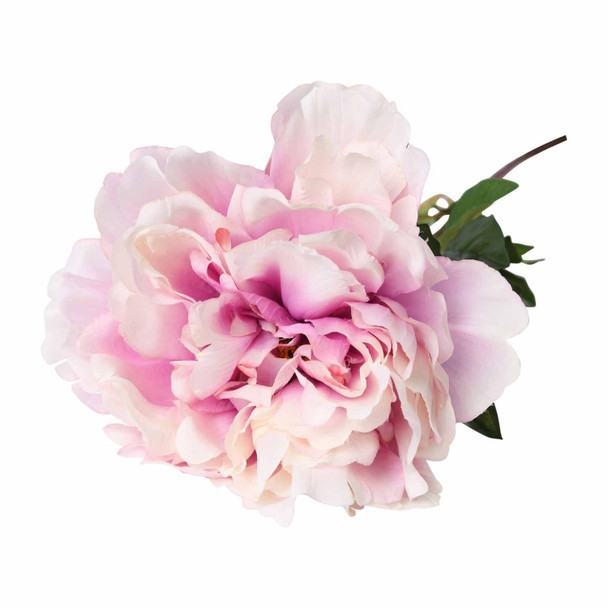 Everlasting Flower Light Purple Peony (117cm)