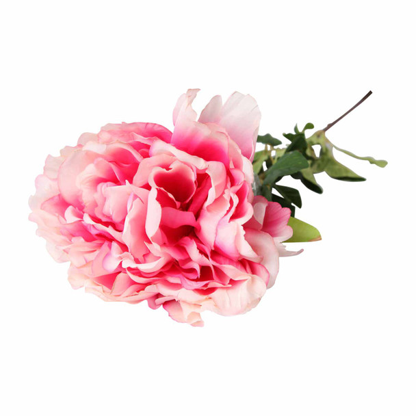 Everlasting Flower Pink Peony (117cm)