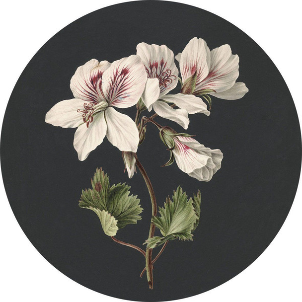 Rug Round 200cm - Floret Blossom