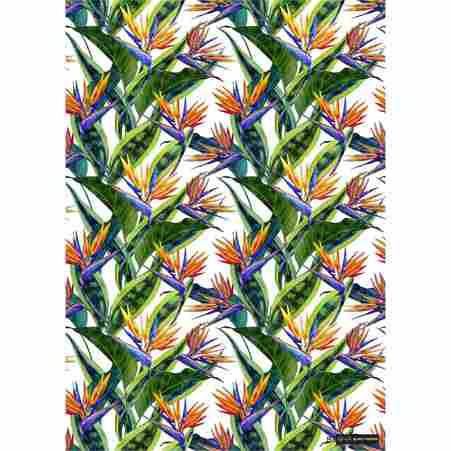 Gift Wrap Paper - Strelitzia & Snake Plant