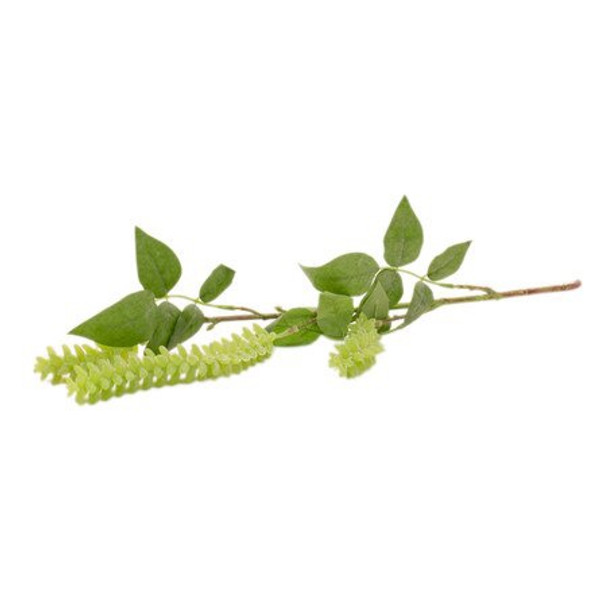 Everlasting Bouquet Greenery - Light Green (50cm)