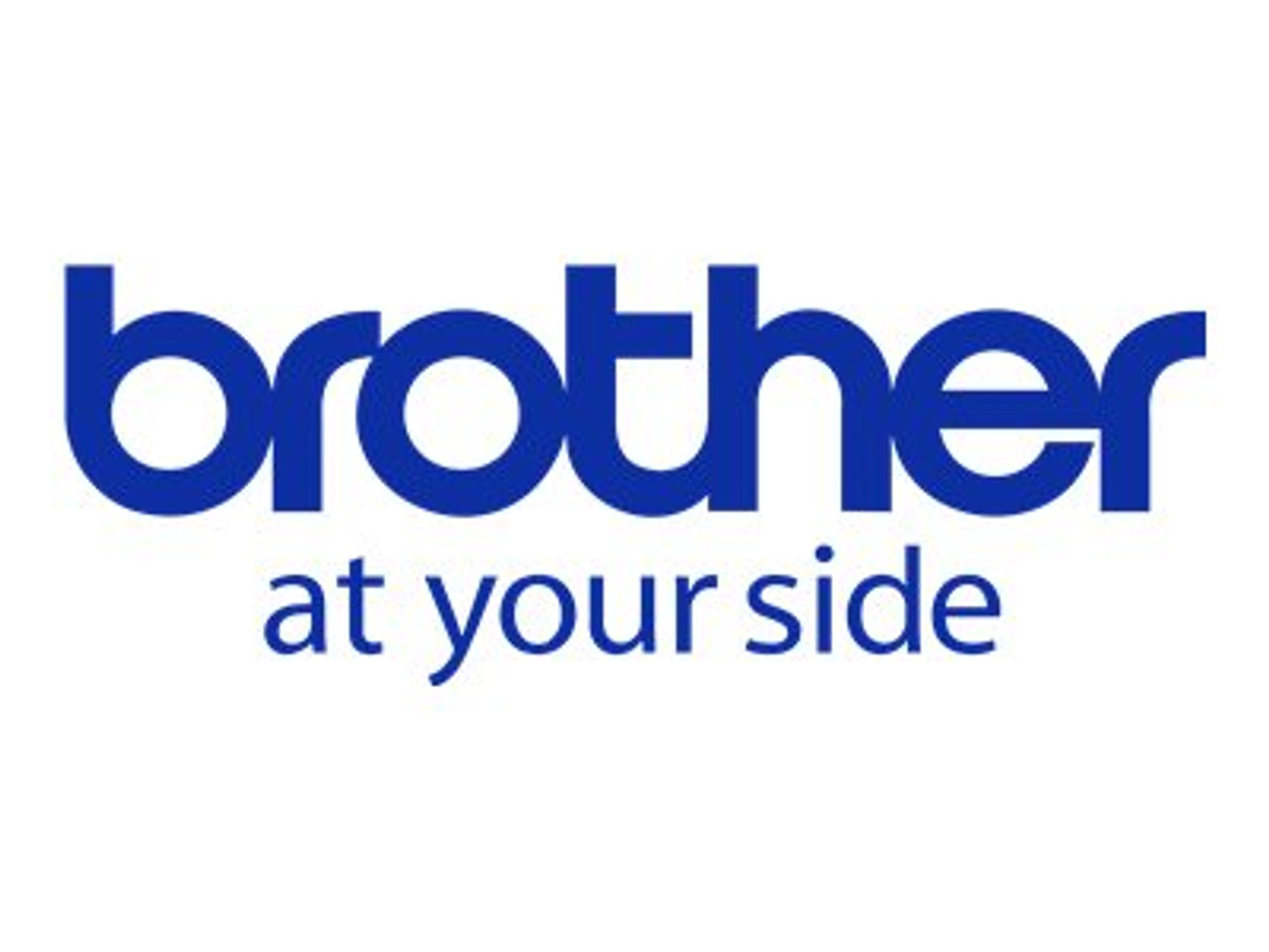 Brother Premium - thermal paper - 600 sheet(s) - LB3788 - Paper & Labels 