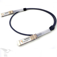 EX-SFP-10GE-DAC-1M-T