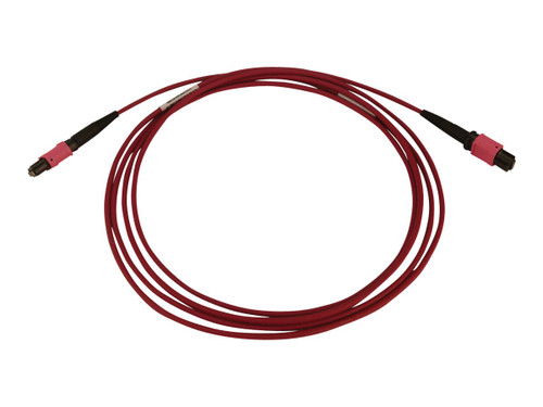 Tripp Lite 100G Multimode 50/125 OM4 Fiber Optic Cable (12F MTP/MPO-PC  F/F), LSZ - N845B-02M-12-MG
