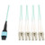 N844-03M-8LC-P