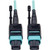 N844-10M-12-P