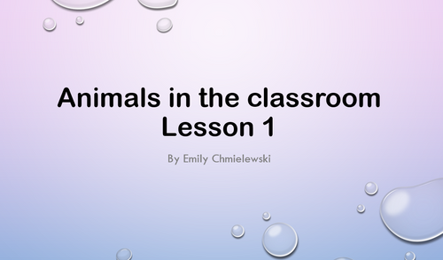 Animals in the Classroom