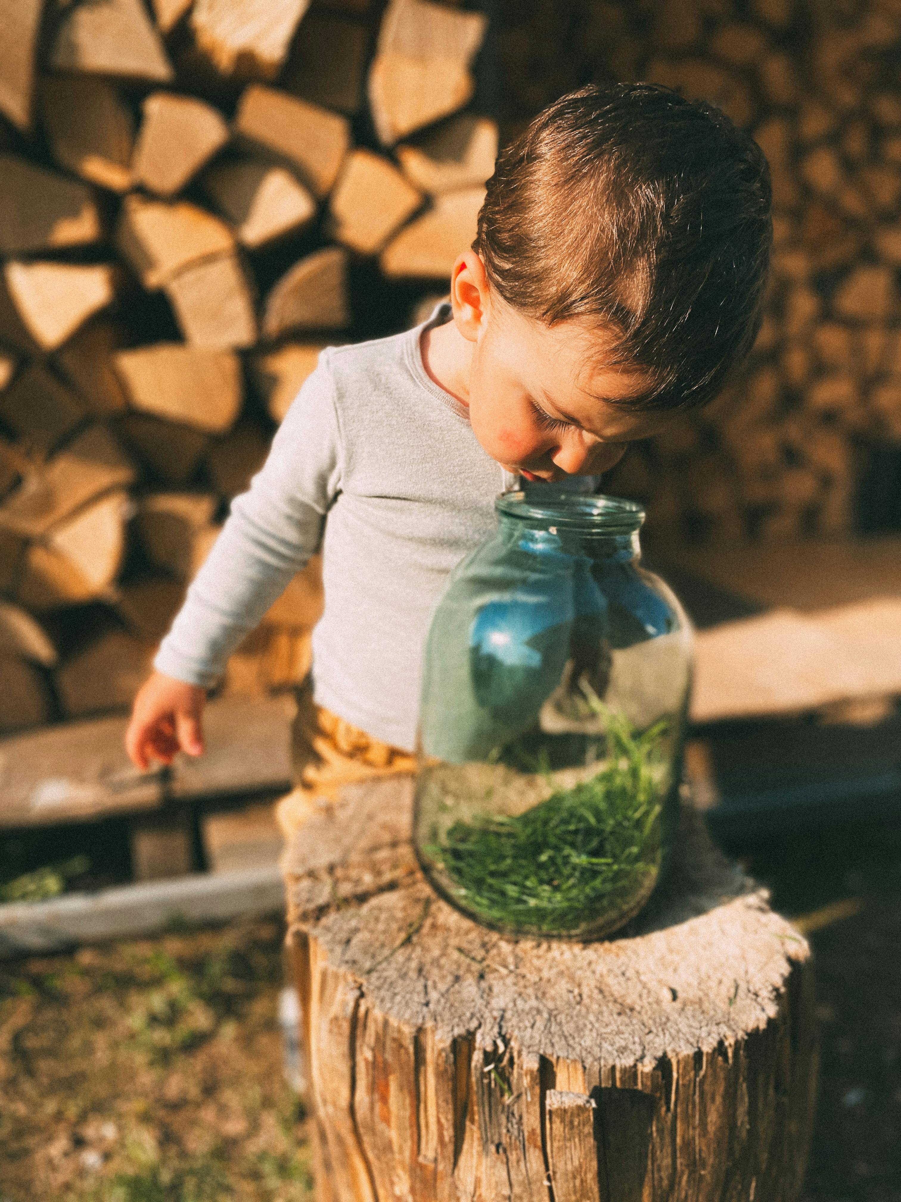 Outdoor Learning in All Seasons Embracing Nature's Classroom AIR