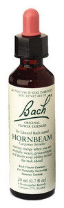 Hornbeam 20 ML Hornbeam 20 ML