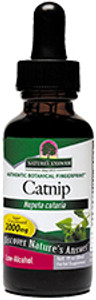 Catnip Herb 1 OZ Catnip Herb 1 OZ