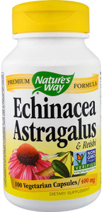 Echinacea Astragalus & Reishi 100 VGC Echinacea Astragalus & Reishi 100 VGC