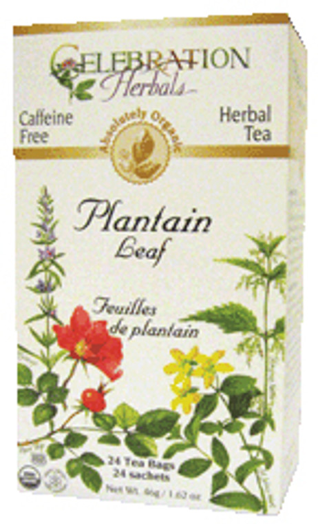 Plantain Leaf Organic 24 BAG