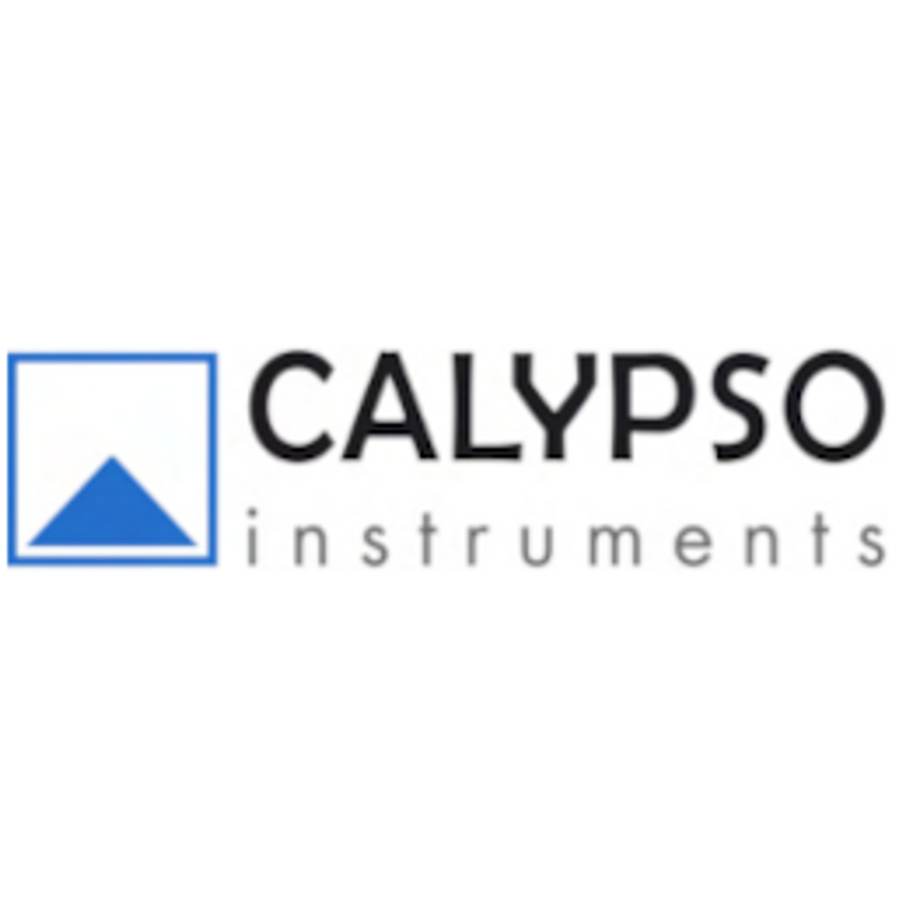 Calypso Solid State Wind Instruments
