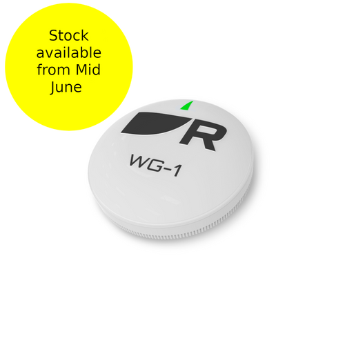Raymarine WG-1 Wireless Gateway