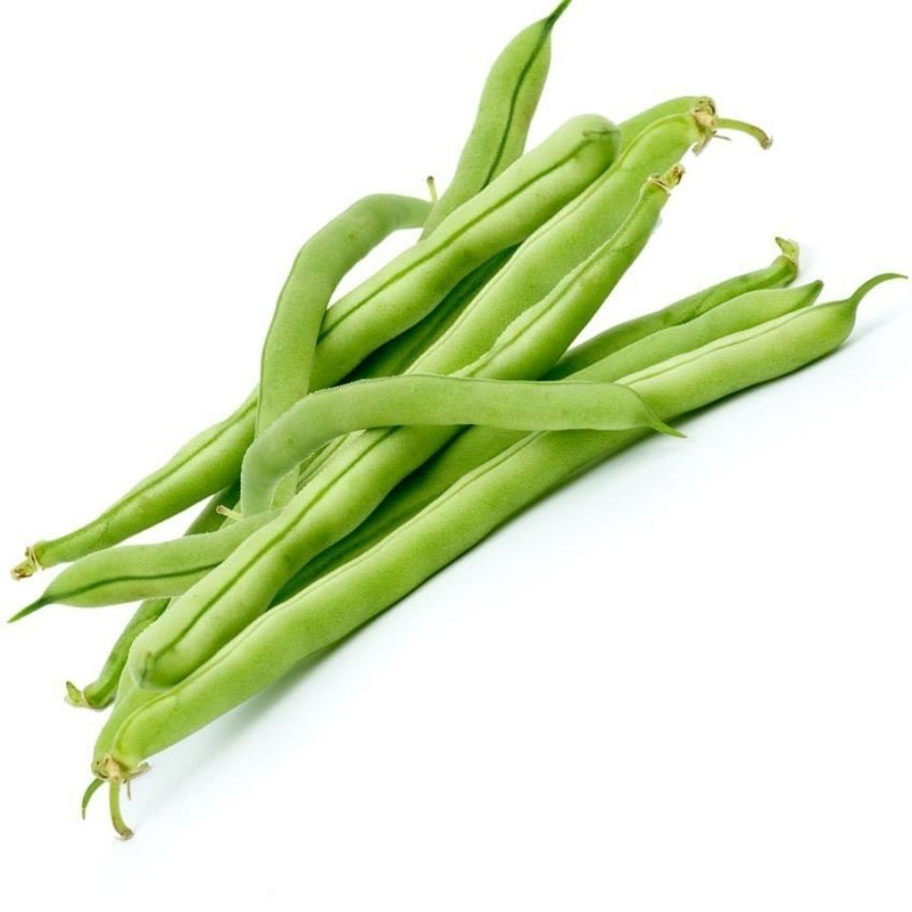 Todd's Seeds - Grow Exceptional Landereth Stringless Beans with Our ...