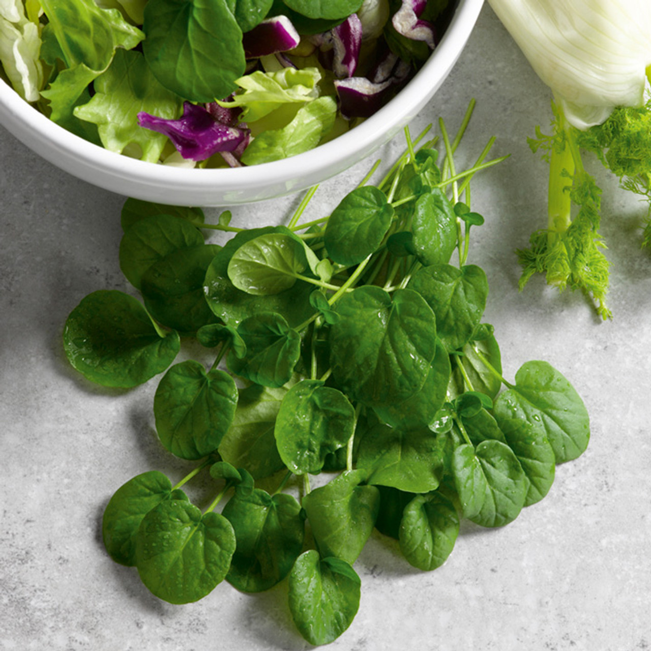 Creasy Greens (Upland Cress, Winter Cress)