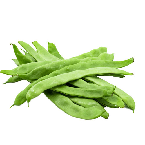 Bush Bean - Roma II Bean Seed