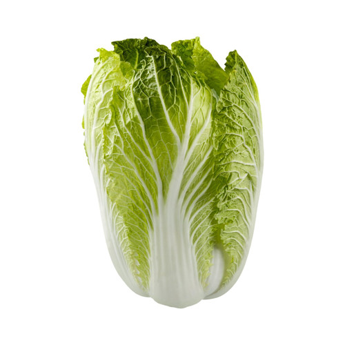 Chinese Cabbage - Michihli-Heading Cabbage Seed