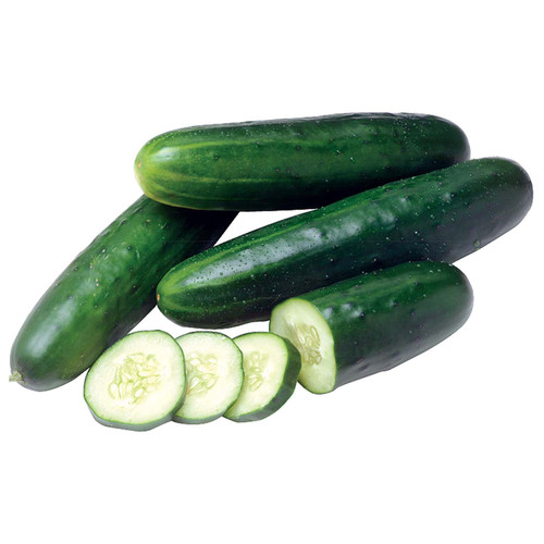 Straight Eight Cucumber Seed