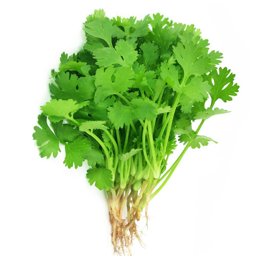 Coriander (Split Seed Cilantro) Slo-Bolting Herb Seed