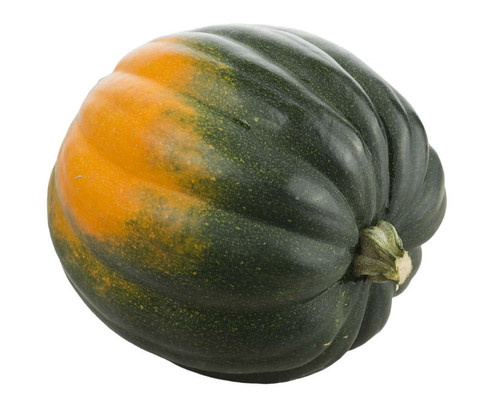 Table King Bush Winter Squash Heirloom Seed