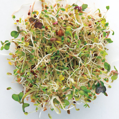 BRAND NEW MIX!  Superfood Microgreen Seeds Mix - Purple Kohlrabi, Collard, Radish, Turnip & Broccoli Sprouts Seeds