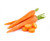 Imperator 58 Carrot Seed