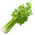 Tall Utah 52-70 Celery Seed